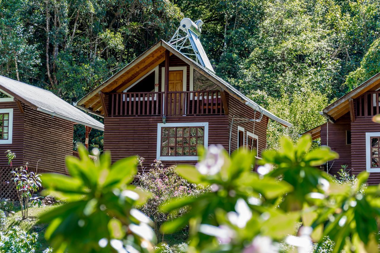 Suenos Del Bosque Lodge San Gerardo de Dota Esterno foto