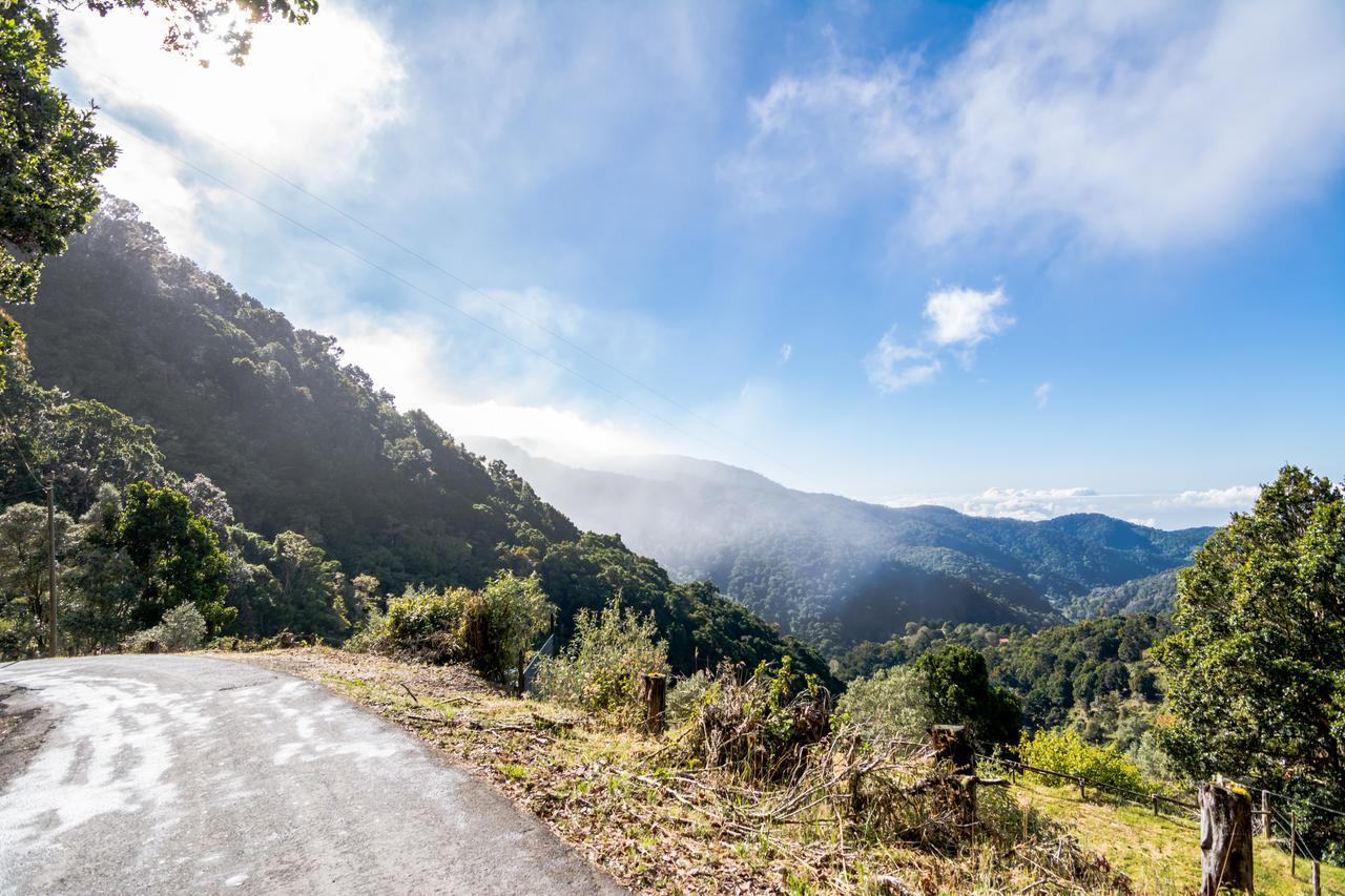 Suenos Del Bosque Lodge San Gerardo de Dota Esterno foto