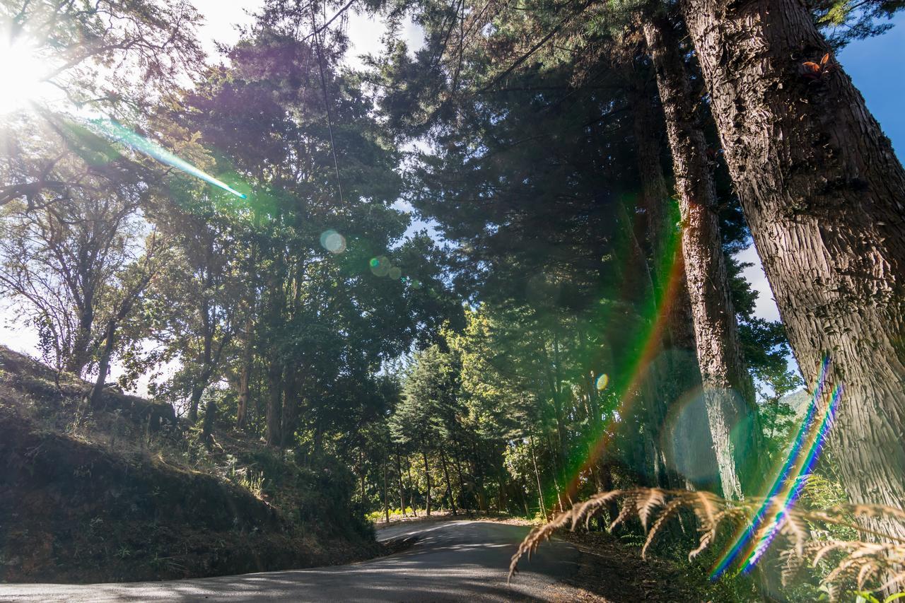 Suenos Del Bosque Lodge San Gerardo de Dota Esterno foto