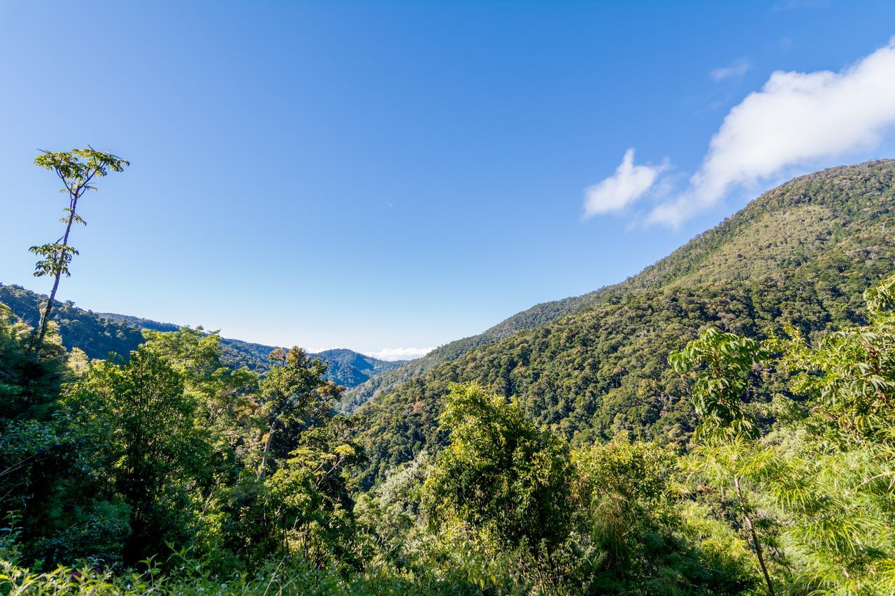 Suenos Del Bosque Lodge San Gerardo de Dota Esterno foto