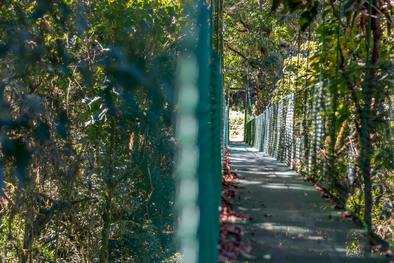 Suenos Del Bosque Lodge San Gerardo de Dota Esterno foto