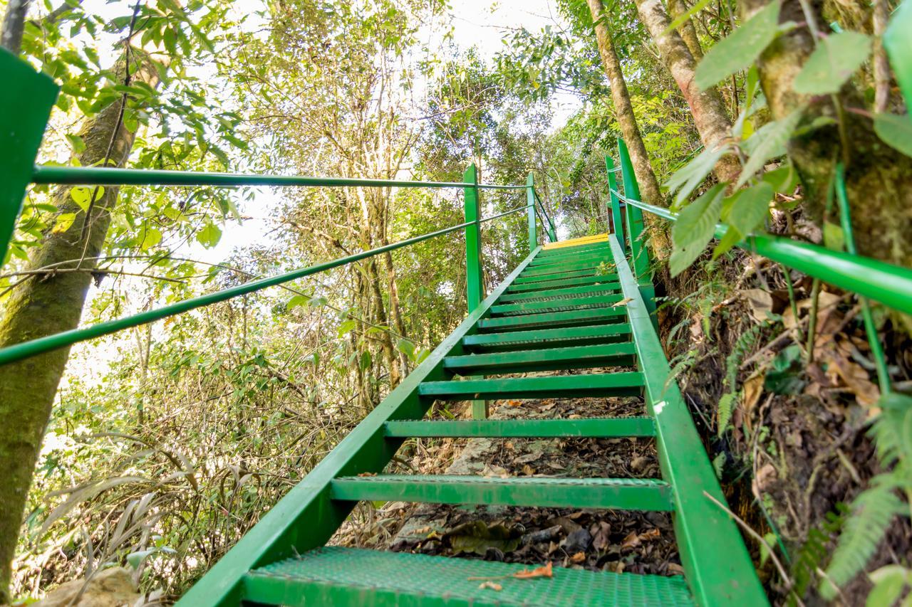 Suenos Del Bosque Lodge San Gerardo de Dota Esterno foto