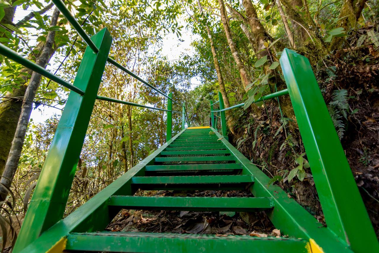 Suenos Del Bosque Lodge San Gerardo de Dota Esterno foto