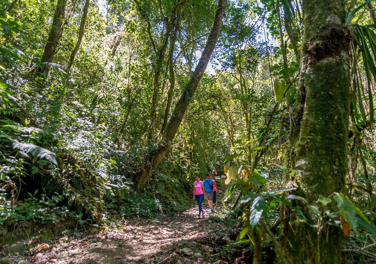 Suenos Del Bosque Lodge San Gerardo de Dota Esterno foto
