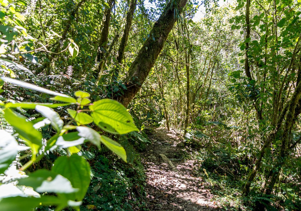 Suenos Del Bosque Lodge San Gerardo de Dota Esterno foto